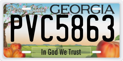 GA license plate PVC5863