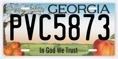 GA license plate PVC5873