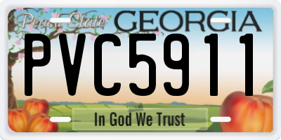 GA license plate PVC5911