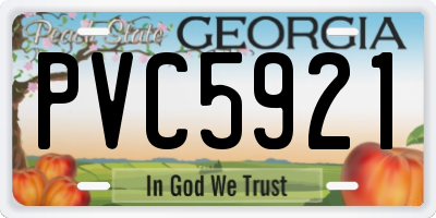 GA license plate PVC5921