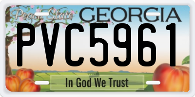 GA license plate PVC5961