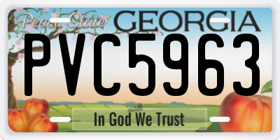 GA license plate PVC5963