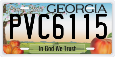 GA license plate PVC6115