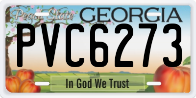 GA license plate PVC6273