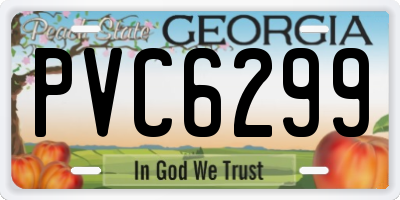 GA license plate PVC6299