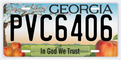 GA license plate PVC6406