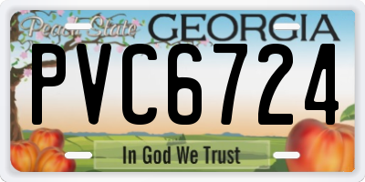 GA license plate PVC6724