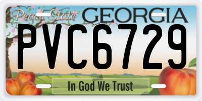 GA license plate PVC6729