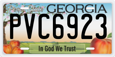 GA license plate PVC6923