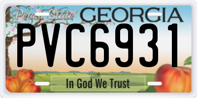 GA license plate PVC6931