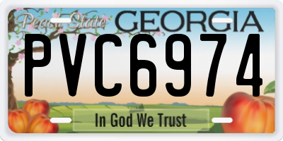 GA license plate PVC6974