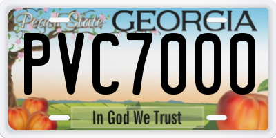 GA license plate PVC7000
