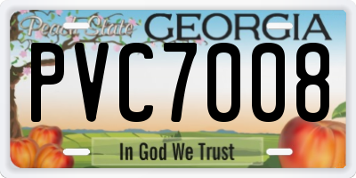 GA license plate PVC7008