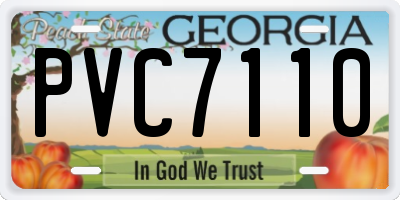 GA license plate PVC7110