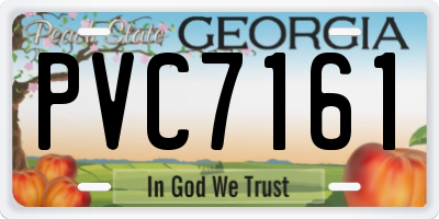 GA license plate PVC7161