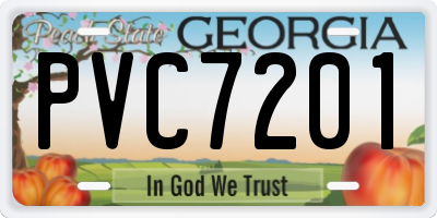 GA license plate PVC7201