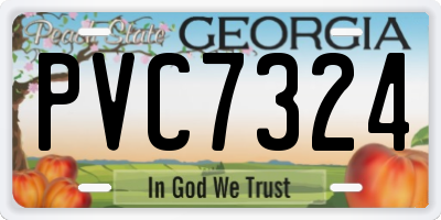 GA license plate PVC7324