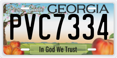 GA license plate PVC7334