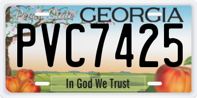 GA license plate PVC7425