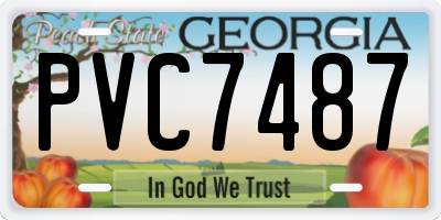 GA license plate PVC7487
