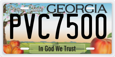 GA license plate PVC7500