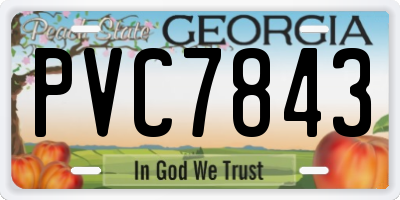 GA license plate PVC7843