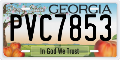 GA license plate PVC7853
