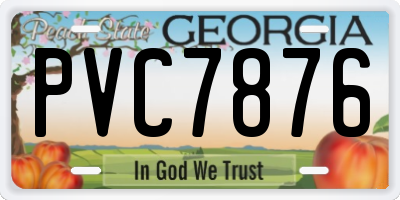 GA license plate PVC7876