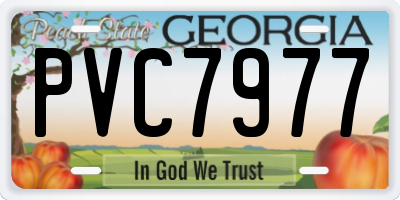 GA license plate PVC7977