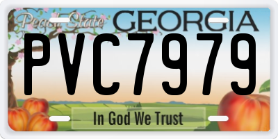 GA license plate PVC7979