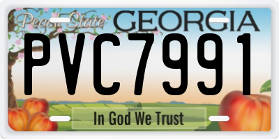 GA license plate PVC7991