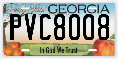 GA license plate PVC8008
