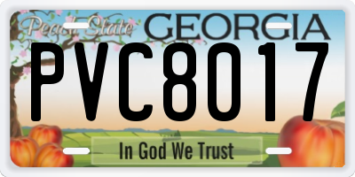 GA license plate PVC8017