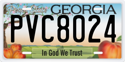 GA license plate PVC8024