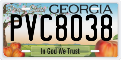 GA license plate PVC8038