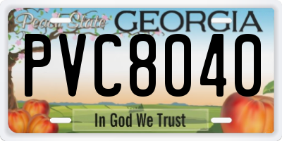 GA license plate PVC8040