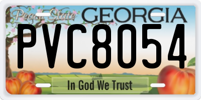 GA license plate PVC8054