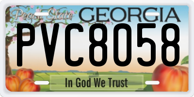 GA license plate PVC8058