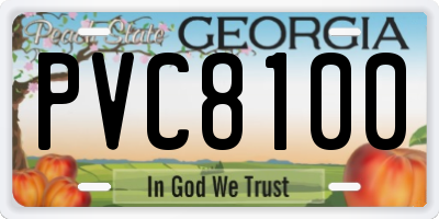GA license plate PVC8100
