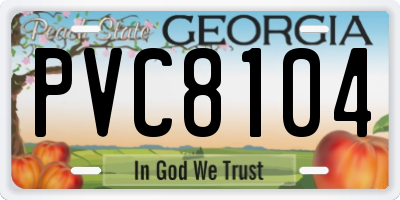 GA license plate PVC8104