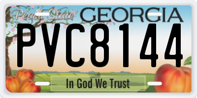 GA license plate PVC8144