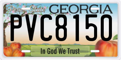 GA license plate PVC8150