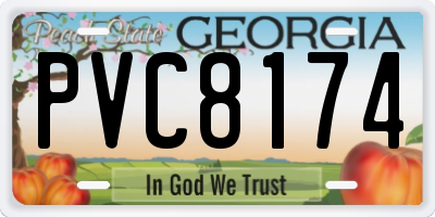 GA license plate PVC8174
