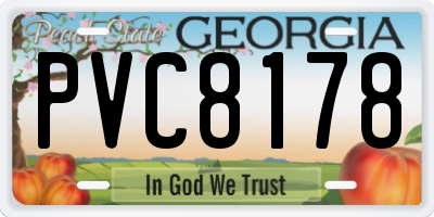 GA license plate PVC8178