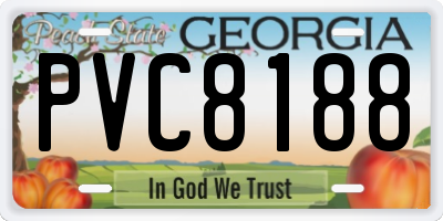 GA license plate PVC8188