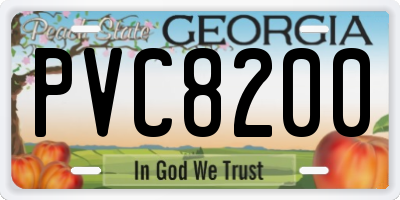 GA license plate PVC8200