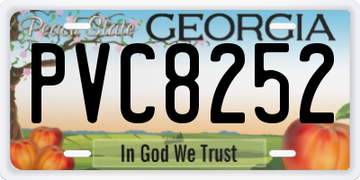 GA license plate PVC8252