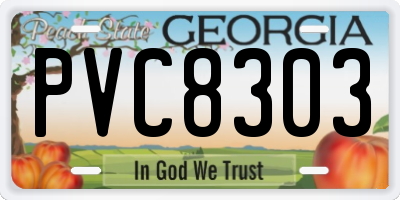 GA license plate PVC8303