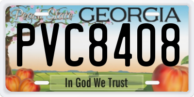 GA license plate PVC8408