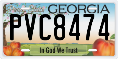 GA license plate PVC8474